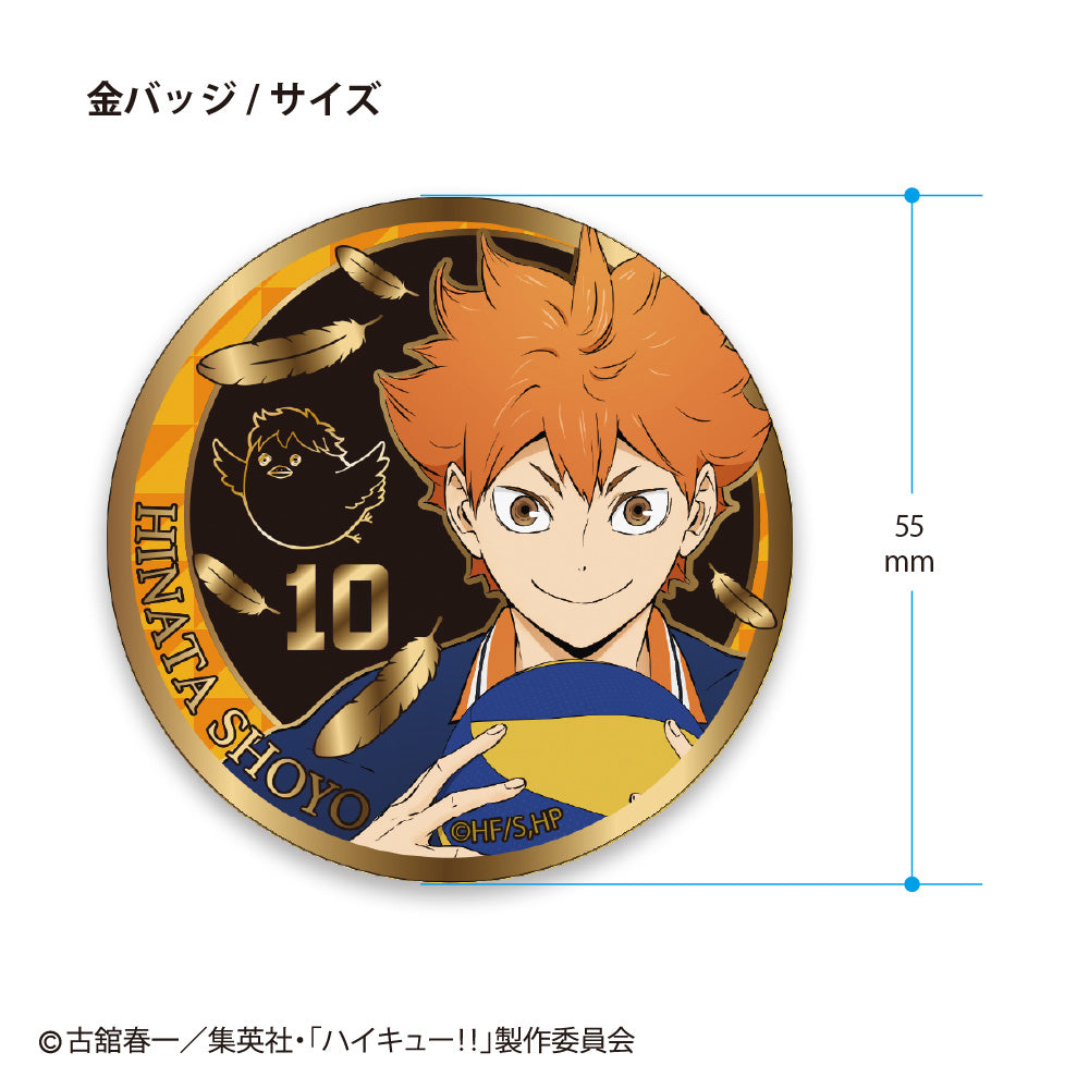 ハイキュー!! / 金バッジ Vol.1 – テンヨーストア